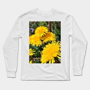 Spring Dandelions - Variation in Lighting - Early Spring Blooms Long Sleeve T-Shirt